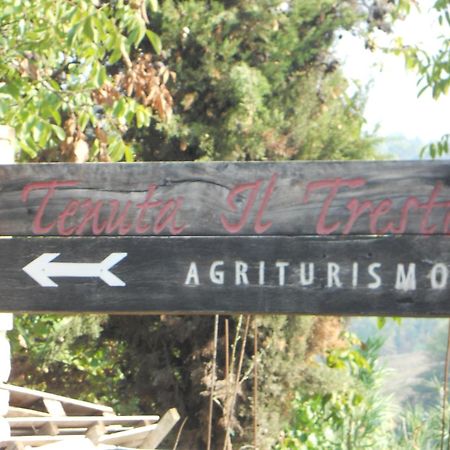 Tenuta Il Tresto Poggibonsi Exteriör bild
