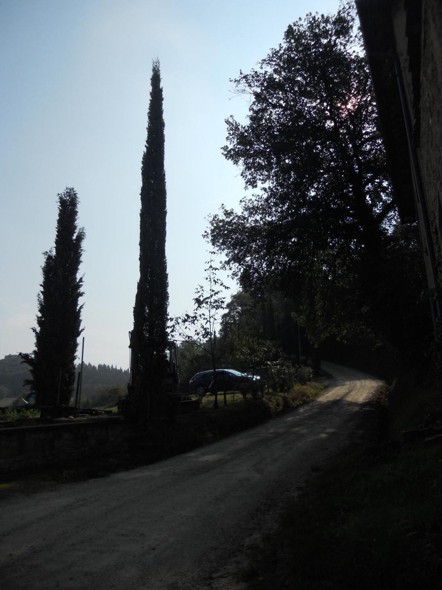 Tenuta Il Tresto Poggibonsi Exteriör bild