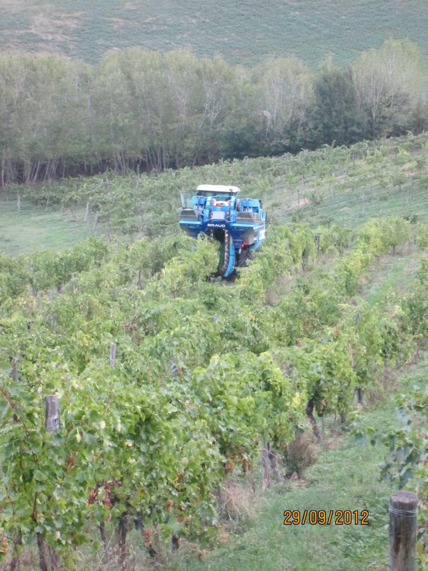 Tenuta Il Tresto Poggibonsi Exteriör bild