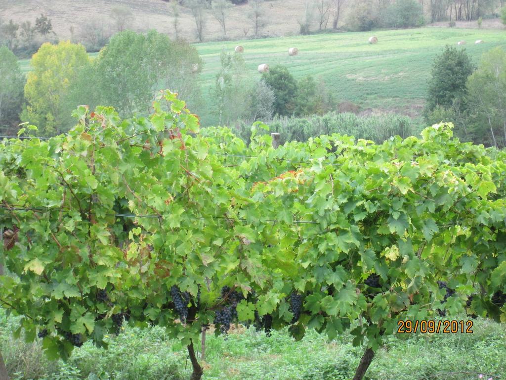Tenuta Il Tresto Poggibonsi Exteriör bild