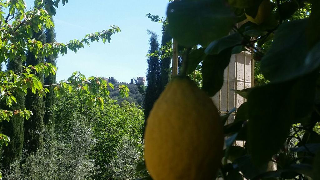 Tenuta Il Tresto Poggibonsi Exteriör bild