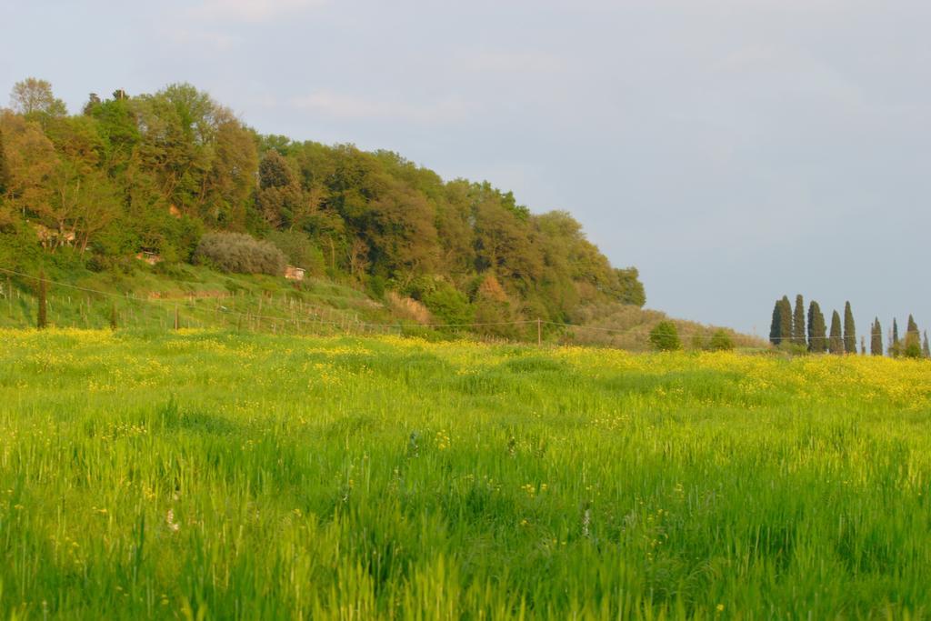 Tenuta Il Tresto Poggibonsi Exteriör bild